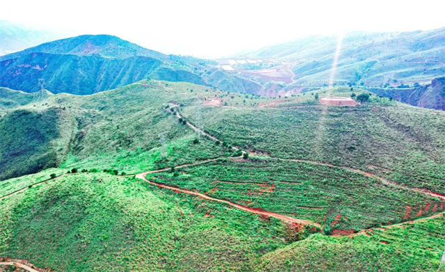 1678069359741201.jpg 17.jpg