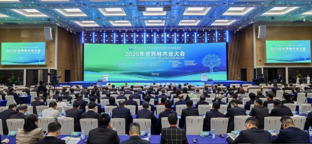 1763946635972667.jpg 大會640.jpg